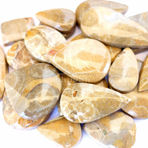 Piedra Preciosa de Coral de Marruecos, Cabujón Suelto para la Fabricación de Joyas, Colgante, Anillo, Pulsera, Collar - Product Image 1