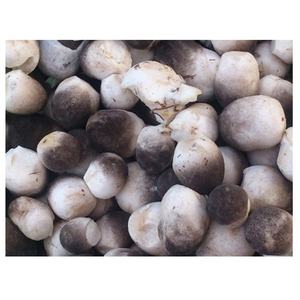 Las mejores setas de paja saladas precio barato - Product Image 1