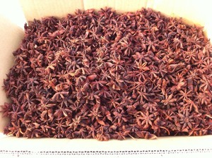 Anís estrellado de Vietnam, hierba seca de alta calidad, flor grande, sin piezas rotas, exportación, precio barato, especias - Product Image 5