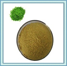 Farine de haricots verts - Product Image 4