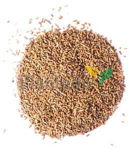 caraway seeds crushed - carum carvi - poland