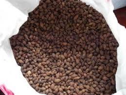 โซมราออน /มาลวานัท/ปังดาไห่/สเตอร์คูเลียไลโนฟอรา - Product Image 2