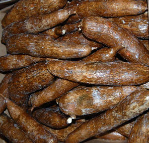 Tapioca y Mandioca, Yuca Fresca de Alta Calidad de Sudáfrica con 2 Años de Vida Útil al Mejor Precio - Product Image 1
