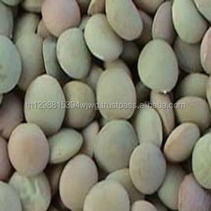 Lentilles vertes de grande qualité, lentilles rouges, brunes - Product Image 2