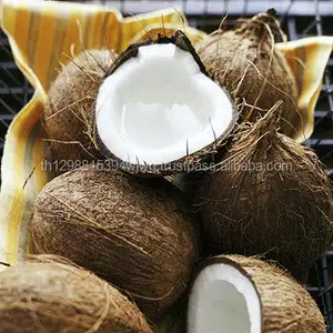अच्छी DESICCATED नारियल कम वसा/कार्बनिक नारियल गुच्छे