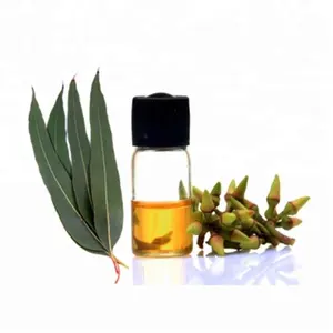 Huile essentielle d'eucalyptus 100% naturelle et biologique utilisée pour les soins de santé fabriquée auprès d'un fournisseur indien