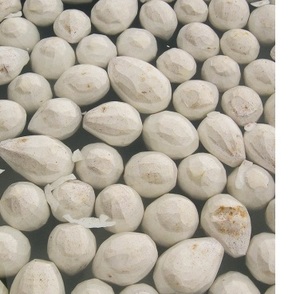 เผือกแช่แข็ง/ผักแช่แข็ง - Product Image 2