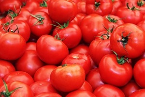 Tomates Cherry Frescos Naturales, Mitades de Tomate, Coloración, 10 kg a Granel, Selección para la Industria Alimentaria, Ingrediente 100% Maduro, Almacenamiento en Frío y Seco - Product Image 2
