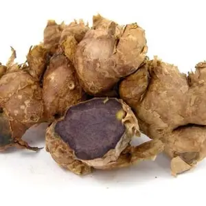 Black Galangal black ginger ( Black Galingale, Galingale) 100% Natural Product of Thailand