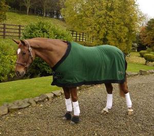 Couverture de cheval en polaire premium, légère et respirante, avec sangles de poitrail réglables - Product Image 6
