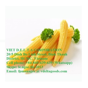 Maíz de bebé helado de Vietnam, barato - Product Image 2