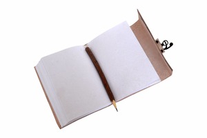 JOURNAL en cuir fait à la main, paon de vie, carnet de notes, papier sans acide, 120 pages, nouveau livre d'écriture, Journal en cuir personnalisé - Product Image 6
