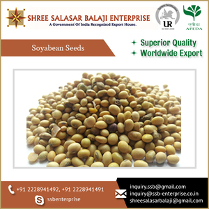 Farine de soja naturelle de qualité supérieure, riche en protéines (49 %), pour bovins, porcs et chevaux, en sac de 50 kg - Product Image 3