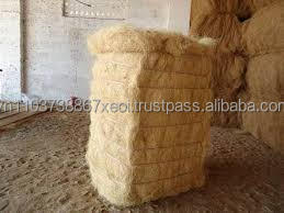 Showcoco — Fiber de Coco, Fiber de Coco au Vietnam, 2020 - Product Image 3