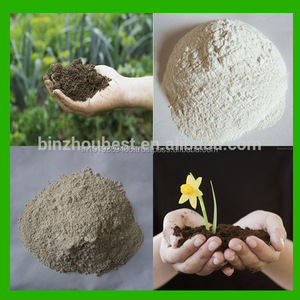 รอยัล มิเนอรัล เบนโทไนต์เกรดสูง ซัลเฟอร์ 90% ผงสีขาวสำหรับปุ๋ย - Product Image 2