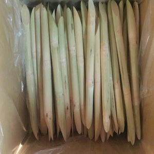 Jugo de Caña de Azúcar / Caña de Azúcar - Product Image 6