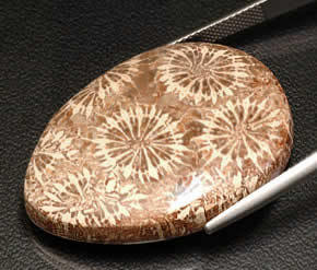 Cabochon en vrac naturel pierre précieuse pierre de corail pour pendentif collier anneau boucle d'oreille macramé - Product Image 4