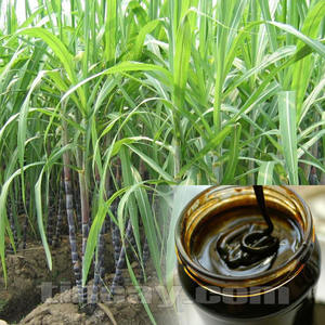 Líquido de melaza pura al por mayor con precio competitivo - Product Image 5