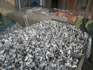 Champignons oreilles de bois séchées, 2020, 1 pièce, champignon noir, Vietnam - Product Image 6