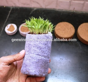 ผู้ผลิตเม็ดมะพร้าวมะพร้าวทมิฬนาฑู - Product Image 2