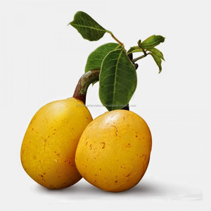 Fabricante y proveedor de aceite puro de marulla, a granel, de alta calidad y precios adecuados en la India - Product Image 2