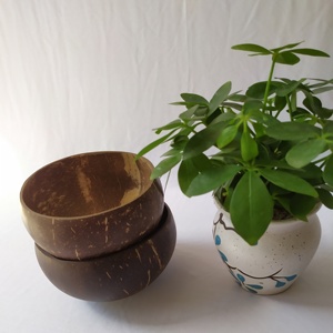 Cuenco de coco natural hecho a mano de alta calidad más vendido ecológico hecho en Vietnam para fiestas - Product Image 2