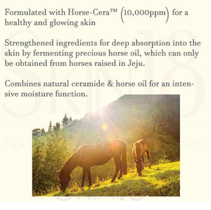 [Tonymoly] แผ่นมาสก์ทรีตเมนต์ Prestige Jeju Mayu - Product Image 3