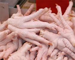 Pollo entero congelado Halal / precio del pollo entero congelado / Patas / Pies / Muslos - Product Image 4