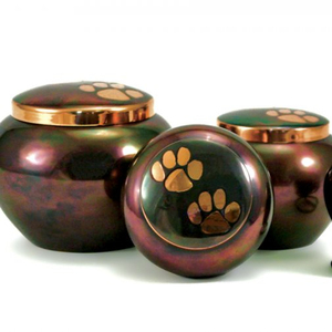Urna de cremación de mascotas, suministros funerarios de latón Odyssey - Product Image 1