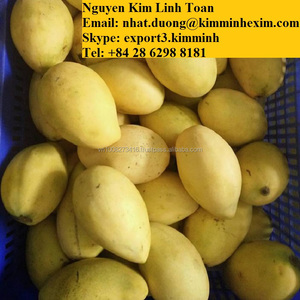 Xoài tươi ngon cao cấp Việt Nam, màu vàng, kiểu nhiệt đới, kiểu OEM, trọng lượng, nguồn gốc, loại, giống HP :0084 917 476 477 - Product Image 5