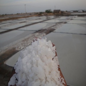 Bolsa de sal de roca a granel, embalaje disponible, 25kg, 50kg, 1mt, 1,5 Mt, original, India, listo para enviar - Product Image 4