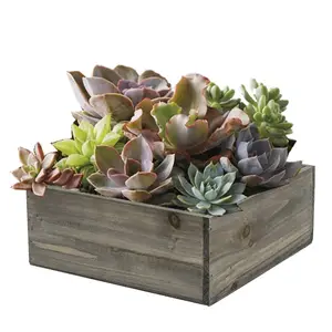 Wood Square Planter Box with plastic Liner