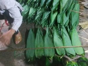 Bambou au Viet Nam/Meilleur Prix - Product Image 4