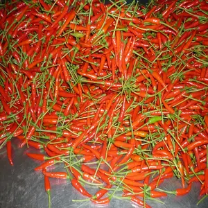 Frozen Red Chilli, nice color, strong smell, best seller to Korea, Thailand