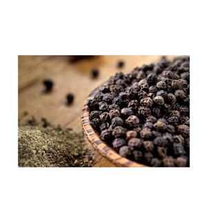 Poivron noir de meilleure qualité au Viet Nam 2023 Ms Holiday - Product Image 1