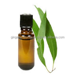 Ingrédient à base de plantes d'huile essentielle d'eucalyptus pur de haute qualité - Product Image 2