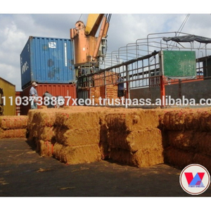 Fibre de coco en vrac/fibre de coco du Vietnam - Product Image 3