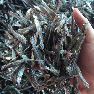 Harga grosir ikan asin ikan teri kering (+ 84)765149122