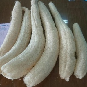 Esponja Natural de Luffa/Esponja Exfoliante de Luffa/Protector de Jabón de Luffa en Vietnam - Product Image 5