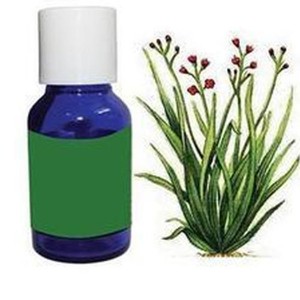 น้ำมันหอมระเหยปาล์มโรซ่าบริสุทธิ์ 100% เกรดเครื่องสำอาง กลั่นด้วยไอน้ำ จำหน่ายส่ง ผู้ผลิต ผู้ส่งออก สำหรับอโรมาเธอราพี - Product Image 3