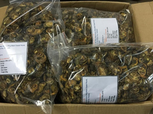 Fruta seca kumquat, rebanada seca, calamonsi - Product Image 6