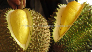 WHOLESALE <b>DURIAN</b> FRUIT - Vietnamese <b>Fresh</b> <b>Durian</b> Fruit for Sale Ms Holiday - Product Image 6