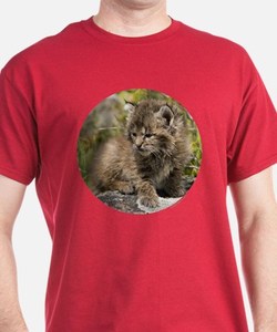 เสื้อเชิ๊ตพิมพ์ลายสำหรับผู้ชายเสื้อเชิ๊ตผ้าฝ้าย100% บริการ OEM ผ้าถักรัดรูปผ้าย้อมสีเรียบ - Product Image 3