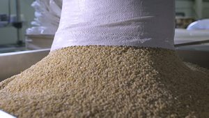 บัควีทคุณภาพดี ได้รับการรับรองมาตรฐาน ISO HACCP สีน้ำตาล บรรจุ 25 กก. - Product Image 3