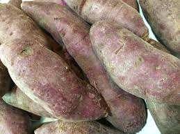 Viet Nam Purple <b>Sweet</b> <b>Potato</b> Premium Agriculture Product - Product Image 3