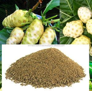 Prix du poudre de noni / Fruit de noni / Prix de la poudre de noni en 2023 - Product Image 6