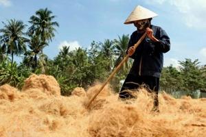 Fiber de noix de coco bon marché, vente en gros, - Product Image 6
