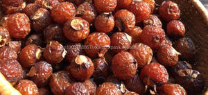 Bayas de Jabón Orgánicas de Alta Calidad para Limpieza, Nueva Cosecha 2024/ Material Natural para Jabón de Vietnam - Product Image 2