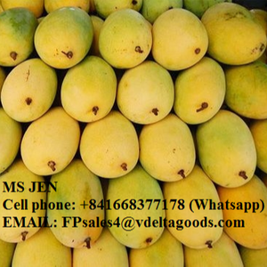 Mango fresco de Vietnam/Mango de alta calidad/ - Product Image 2
