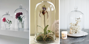 Cúpula de vidrio con base hecha de vidrio de primera calidad y mango para decoración del hogar Decoración de oficina Decoración de restaurante - Product Image 2